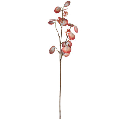 Sztuczna roślina gałązka Dolarowiec 70cm - 5903754812187