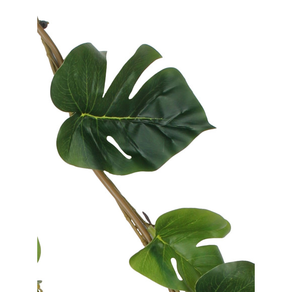 Sztuczne pnącze Monstera 180 cm zielona ściana - 5903754809163