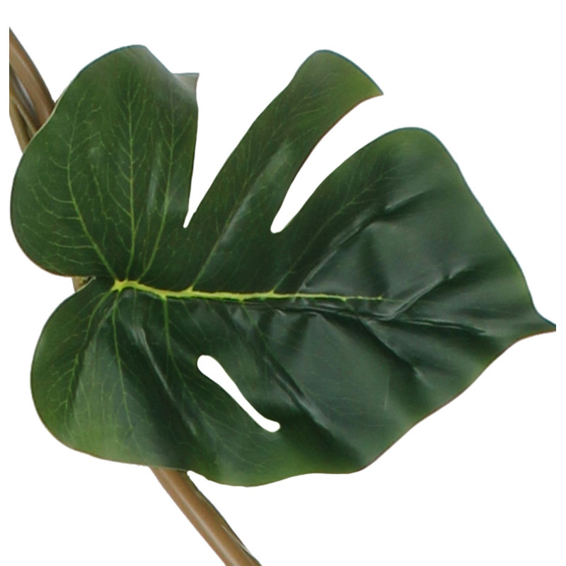 Sztuczne pnącze Monstera 180 cm zielona ściana - 5903754809163