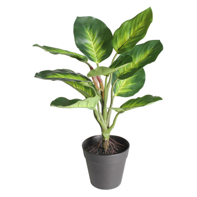Szt. kwiat w doniczce DIFENBACHIA - 35cm - zielony - 5908262440136
