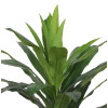 Sztuczny kwiat w doniczceDRACENA80 - 5908262400864