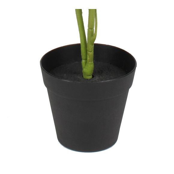 Sztuczna roślina Fortune tree 60 cm jak prawdziwa - 5903754804618