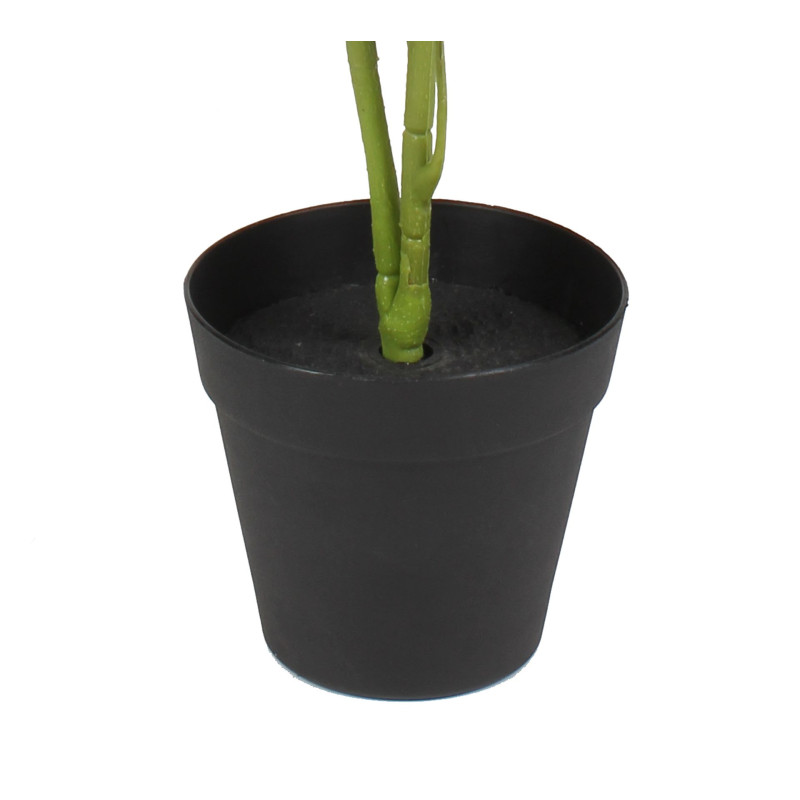 Sztuczna roślina Fortune tree 60 cm jak prawdziwa - 5903754804618
