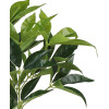 Sztuczna roślina Fortune tree 60 cm jak prawdziwa - 5903754804618
