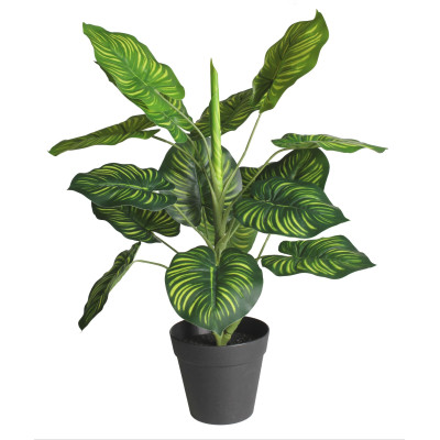 Sztuczny kwiat w doniczce MARANTA - 45 cm - zielony - 5908262469854