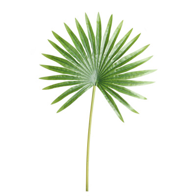 Sztuczny LIŚĆ LEWISTONA - 50 cm - zielony - 5908262412256