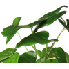 Sztuczny kwiat w doniczceANTURIUM40 - 5903754803024