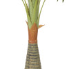 Sztuczny kwiat w doniczceARECA PALMA80 - 5908262440082