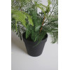 Sztuczny kwiat w doniczceAGLAONEMA35 - 5903754809897