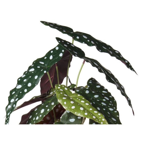 Sztuczna roślina Begonia 39 cm jak prawdziwa - 5903754802898