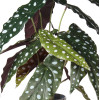 Sztuczna roślina Begonia 39 cm jak prawdziwa - 5903754802898