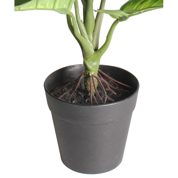 Szt. kwiat w doniczce DIFENBACHIA - 35cm - zielony - 5908262440136
