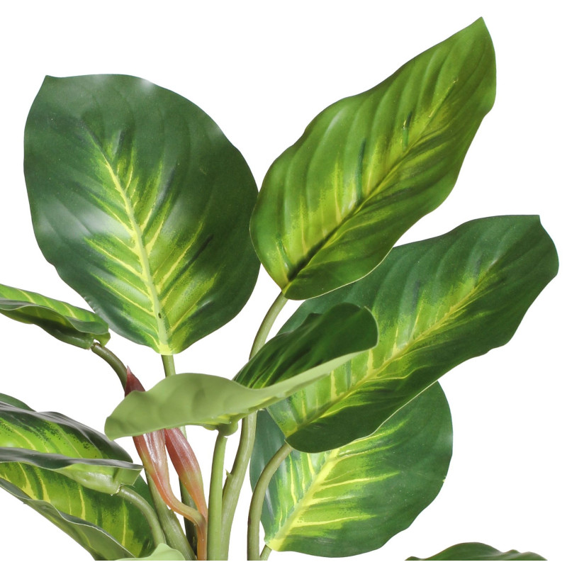 Szt. kwiat w doniczce DIFENBACHIA - 35cm - zielony - 5908262440136