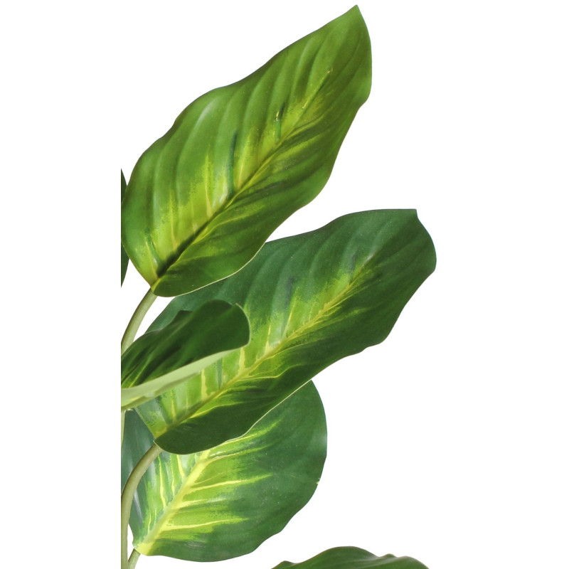 Szt. kwiat w doniczce DIFENBACHIA - 35cm - zielony - 5908262440136