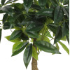 Sztuczny kwiat w doniczceFORTUNE TREE120 - 5908262400925