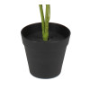 Sztuczna roślina Fortune tree 60 cm jak prawdziwa - 5903754804618