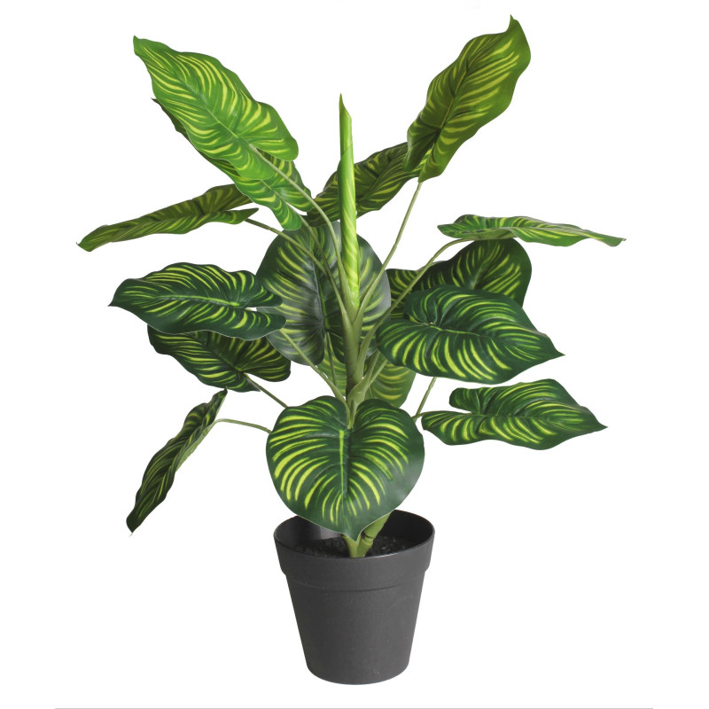 Sztuczny kwiat w doniczce MARANTA - 45 cm - zielony - 5908262469854