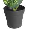 Sztuczny kwiat w doniczce MARANTA - 45 cm - zielony - 5908262469854