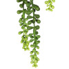 Sztuczny kwiat w doniczceSEDUM24 - 5903754802911
