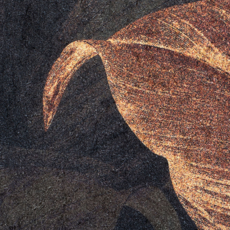 Dywan drukowany CROP, petra 50x80cm, wielkolorowy