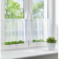 ZazdrostkaKIM45x150
