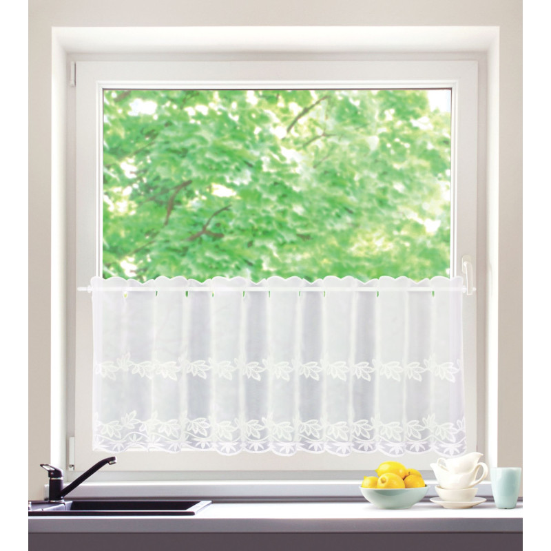 ZazdrostkaKIM45x150