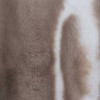 Dywan VESTAR, 110x160cm, kolor taupe