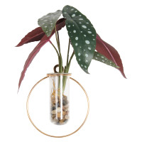 Sztuczny kwiat w doniczceBEGONIA30