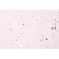 Tkanina do dekoracji TIUL BROKAT, 45/200cm,srebrny