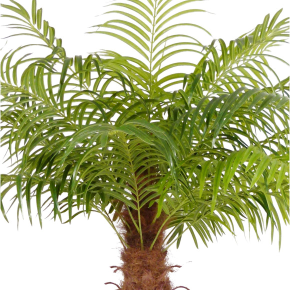 Sztuczny kwiat w doniczce PALMA-200cm