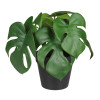 Sztuczny kwiat w doniczce MONSTERA-23cm