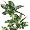Sztucz. roślina w donicz. MONSTERA VARIEGATA-130cm