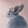 Poszewka LULU 45x45cm,kol.różowy